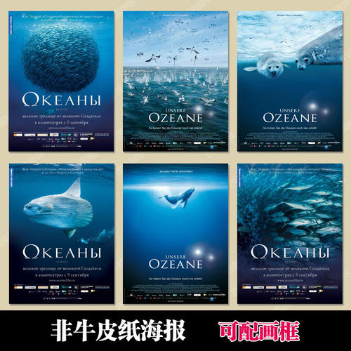定制佛罗里达州结婚证